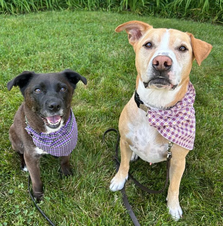 Oreo and Ralph